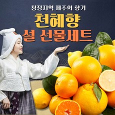 [달하나농수산] 제주 천혜향 백화점 납품용 명절 초특가 16brix 고당도 산지 직송, 1세트, 3kg 중대과 (7~15과 / 실중량 2.5kg)