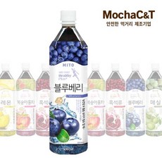 소소한생활 미토 블루베리 1020ml X 12개 아이스티, 1.02L