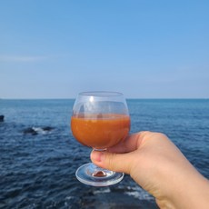 띠앗농장 물없이 60도 저온 추출 제주 당근즙 당근주스, 30개, 100ml