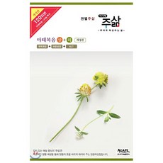 권별 주삶- 마태복음 세트, 아가페출판사