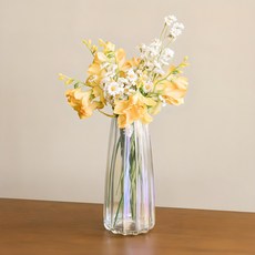앙플랜트 별 유리 꽃병, 오로라 오로라
