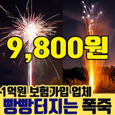 [스카이페스티발] 9800원 불꽃놀이 폭죽세트