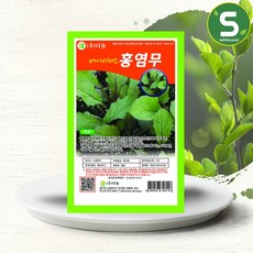 홍염