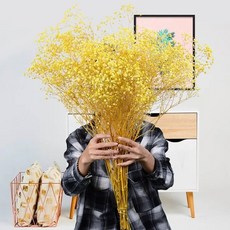 babybreath