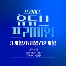 유튜브 프리미엄+유튜브 뮤직 3개월/6개월/12개월