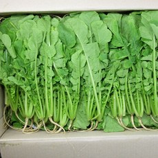 반여농산물시장