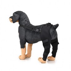 강아지 쓸개골 보호대 슬개골 탈구 증상 2기 수술, XS