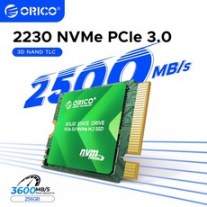 ORICO D10 M.2 2230 SSD 256GB NVMe PCIe Gen 3.0x4 내장 ssd TLC 3D NAND 스팀 데크용 최대 2500 MB/s, [01] 256GB 2500 D10, 1개