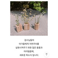 햄스터 나무 화분 꽂이, 1개