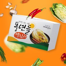 풍년들 백김치 종이박스, 1개, 10kg