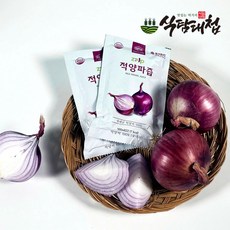 식탐대첩 복길농원 즙업 적양파즙 100ml, 60개 - zup