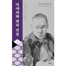미야자와streh