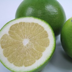 a0764e7fe0871d6844da9ac4ab2103dd3fd7ea79406e9fc54bb45395f80e.jpg