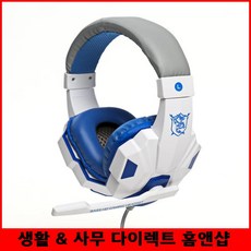 초등학생화상영어