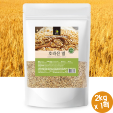 카무스