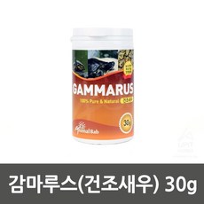 올챙이먹이