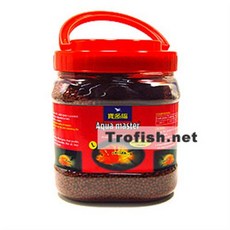 트로피칼플라워혼