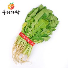 마트열무1단무게