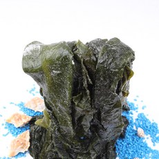 완도에서 온 염장다시마 2kg, 1개