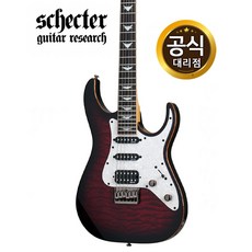 쉑터다이아몬드기타
