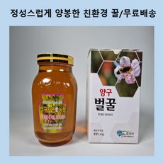 양구지도