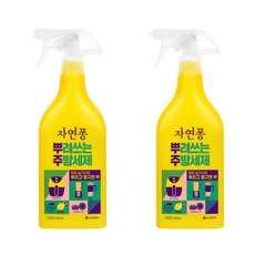 LG생활건강 자연퐁 뿌려쓰는 주방세제 500ml 레몬향 [2개]