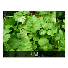 처빌