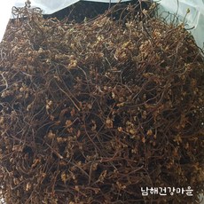 2023년 햇고사리 해풍맞고 자란 남해산 건고사리 500g 남해건강마을 [원산지:국산(경상남도 남해군)], 1개