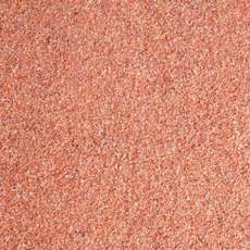 시대고시투운사