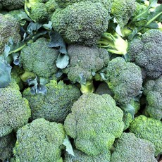 햇 브로콜리 특품 1kg 브로컬리, 1개