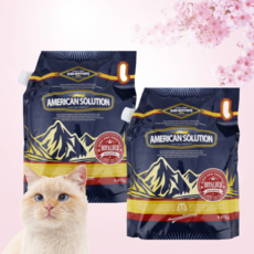 아메리칸솔루션모래
