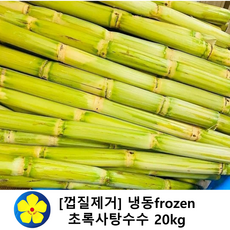 초록사탕수수 스틱 베트남산 냉장 냉동