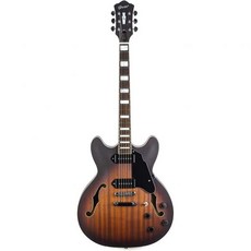 프리미엄 GROTE 일렉트릭 기타 세미할로우 바디 무광 마감 VS