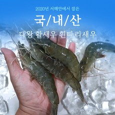 2020년 서해안 양식대하 활새우 왕새우 대하 1kg 25-30마리 흰다리새우