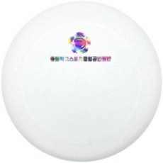 플라잉썬디스크