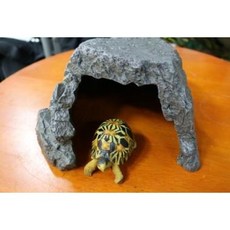 거북이쉼터 TOP01