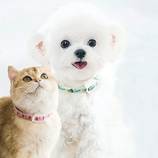 [아띠꼴로] 1+1 강아지 모기 진드기 퇴치제 벌레퇴치 해충방지 목걸이 산책용품, 민트, 2개, 36ml