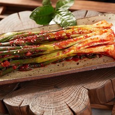 모산장군차김치 진경 파김치 1kg /밥도둑별미김치, 1개