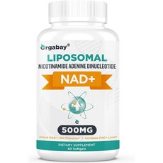 Orgabay 리포솜 NAD+ 보충제 500mg 60정