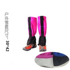 섬머스노우장미