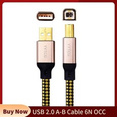 DAC USB 2.0 케이블 실버 도금 와이어 6N OCC 디지털 오디오 케이블 A B 하이엔드 컴퓨터 사운드 카드 믹서 데이터 코드 프린터 카보, 5) 5m, 1개