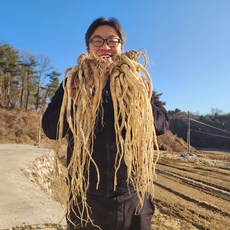 도라지 약도라지 흙 세척 생도라지 깐도라지 1kg 24년 국산, 종류, 1개, 흙약도라지(실속) 1kg