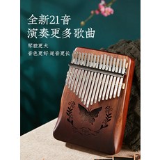  - 칼림바 쉬운 교육용 고급칼림바 엄지 건반 17음 칼림 초보 입문 카바림 손가락 피아노 칼림바21 음악기, 20 21음나비그라미카페선물팩 