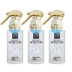 미쟝센모이스처미스트