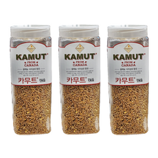 골드카무트