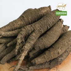 제주 화산토에서 자란 아삭하고 달콤한 검은 흙더덕(특) 1kg, 1개