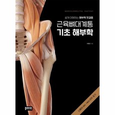 근육뼈대계통범문