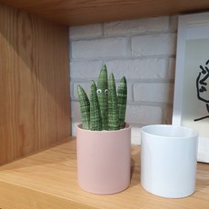 3d040508029a60763e2629b4b232b126033794c892719f7ee2d1393681a7.jpg