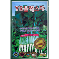 블랙스타오방난로