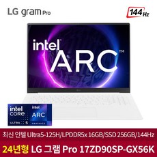 LG그램 프로 17ZD90SP-GX56K 인텔 Ultra5/16GB/256GB/Arc그래픽/144HZ/Ai전용엔진 가벼운 최신 노트북